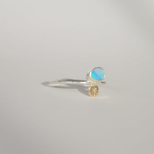 Floating Underwater Ring