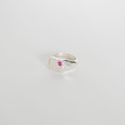 Reflection Ring